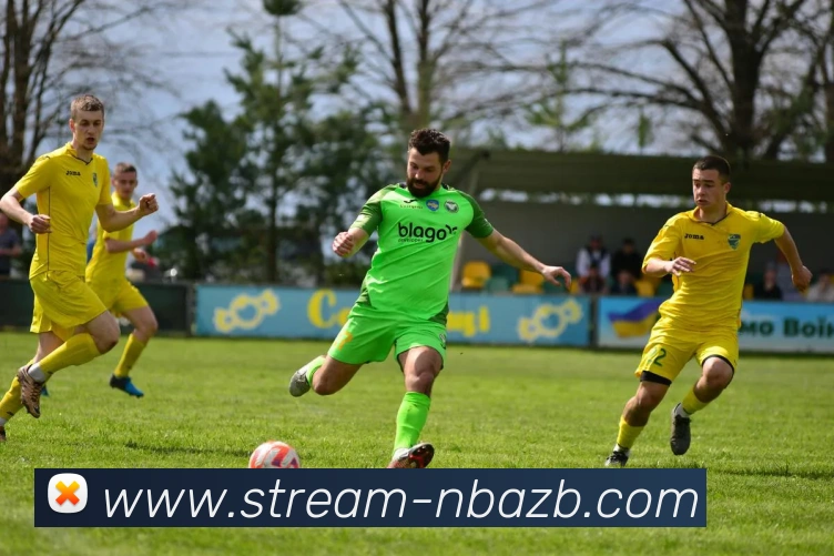 NBA直播平台生态图